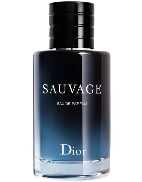 dior men's perfume myer